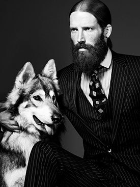 British Lupine Dog