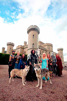 Watermill Wolves, British lupine dogs in a game of thrones wedding