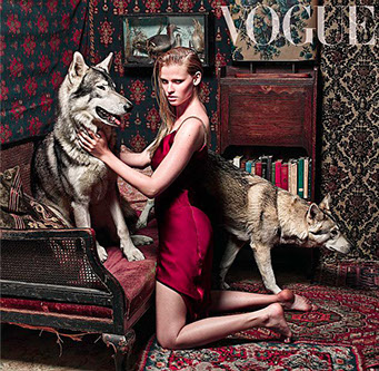 Watermill Wolves, British Lupine Dog's in Vogue