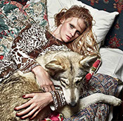 Watermill Wolves, british lupine dog summer in vogue